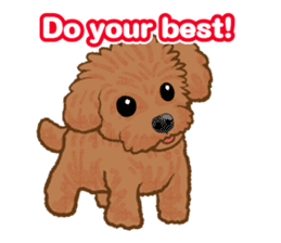 Toy poodles will heal(English) sticker #863104