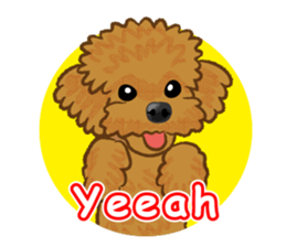 Toy poodles will heal(English) sticker #863107