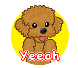 Toy poodles will heal(English) sticker #863107