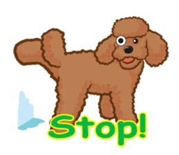 Toy poodles will heal(English) sticker #863112