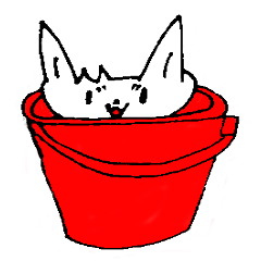 bucket dog