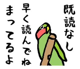 Sakura of Lovebird sticker #864776