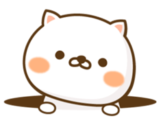 Lovely white cat NEKONYAN sticker #865060