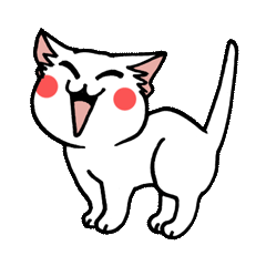 "Daily cat" With Cat 01