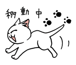 "Daily cat" With Cat 01 sticker #866040