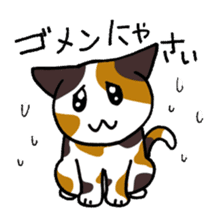 "Daily cat" With Cat 01 sticker #866043