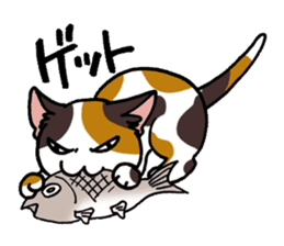 "Daily cat" With Cat 01 sticker #866050