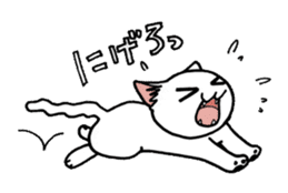 "Daily cat" With Cat 01 sticker #866057