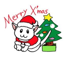 "Daily cat" With Cat 01 sticker #866066