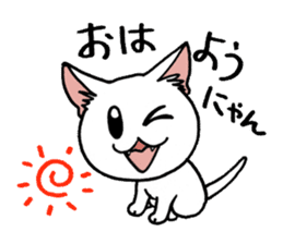 "Daily cat" With Cat 01 sticker #866070