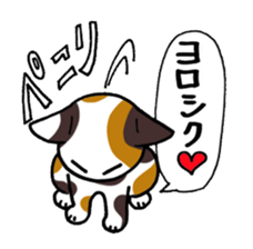 "Daily cat" With Cat 01 sticker #866071