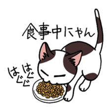 "Daily cat" With Cat 01 sticker #866076