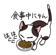 "Daily cat" With Cat 01 sticker #866076