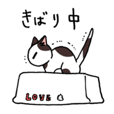 "Daily cat" With Cat 01 sticker #866077