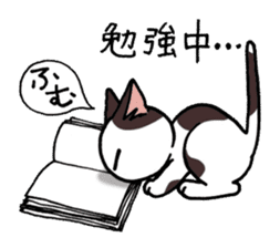 "Daily cat" With Cat 01 sticker #866078