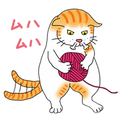 Fat cat RUI's everyday.