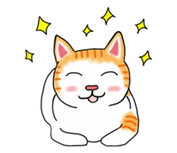 Fat cat RUI's everyday. sticker #867159
