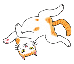 Fat cat RUI's everyday. sticker #867160