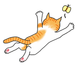 Fat cat RUI's everyday. sticker #867161