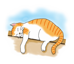 Fat cat RUI's everyday. sticker #867162