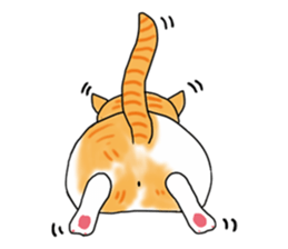 Fat cat RUI's everyday. sticker #867163