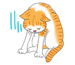 Fat cat RUI's everyday. sticker #867165