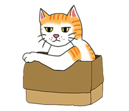 Fat cat RUI's everyday. sticker #867166