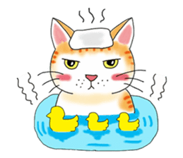 Fat cat RUI's everyday. sticker #867167