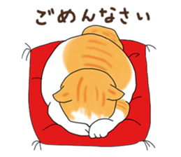 Fat cat RUI's everyday. sticker #867169
