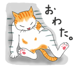 Fat cat RUI's everyday. sticker #867170