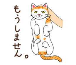 Fat cat RUI's everyday. sticker #867171