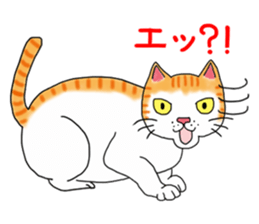 Fat cat RUI's everyday. sticker #867172