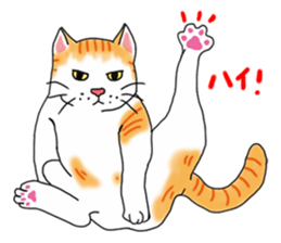 Fat cat RUI's everyday. sticker #867174