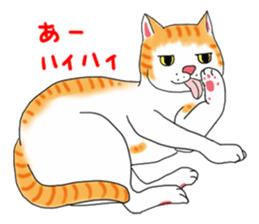 Fat cat RUI's everyday. sticker #867175