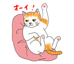 Fat cat RUI's everyday. sticker #867178