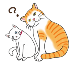 Fat cat RUI's everyday. sticker #867179