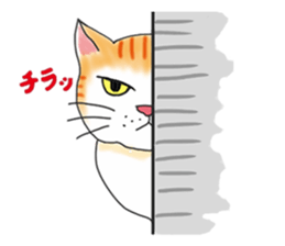 Fat cat RUI's everyday. sticker #867180