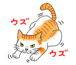 Fat cat RUI's everyday. sticker #867181