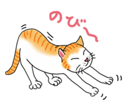 Fat cat RUI's everyday. sticker #867183