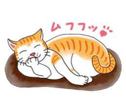 Fat cat RUI's everyday. sticker #867184