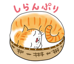 Fat cat RUI's everyday. sticker #867185