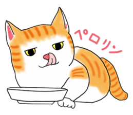 Fat cat RUI's everyday. sticker #867186