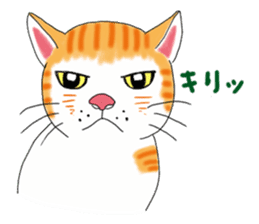 Fat cat RUI's everyday. sticker #867187