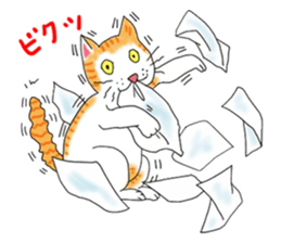 Fat cat RUI's everyday. sticker #867188