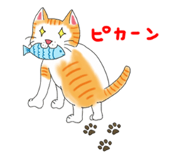 Fat cat RUI's everyday. sticker #867190