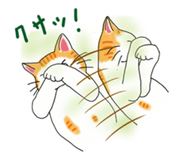 Fat cat RUI's everyday. sticker #867191