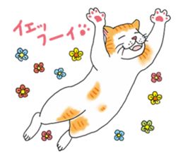 Fat cat RUI's everyday. sticker #867192