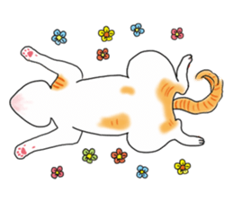 Fat cat RUI's everyday. sticker #867193