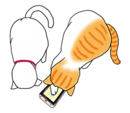 Fat cat RUI's everyday. sticker #867198