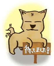 Japanese Shiba Inu sticker #867213